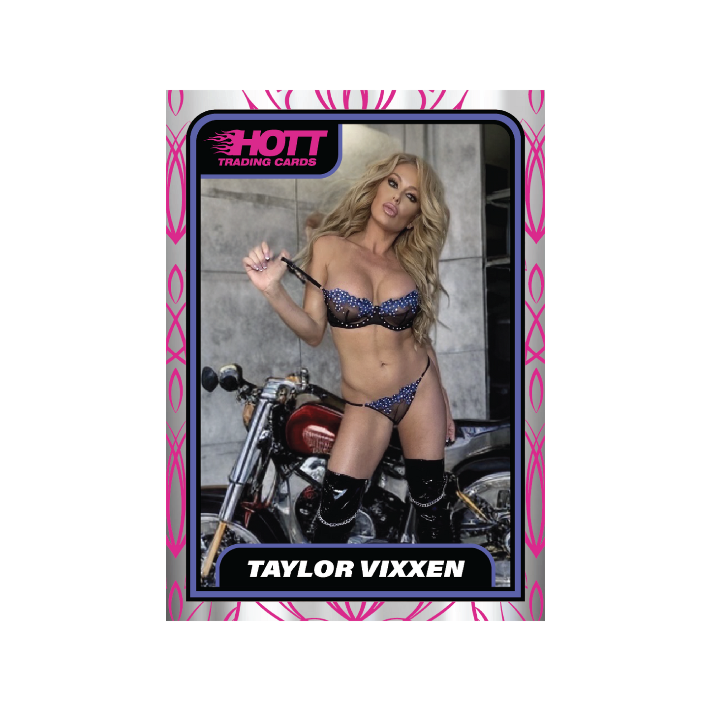 Hott Trading Card Number 13: Taylor Vixxen
